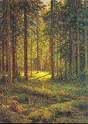 Ivan Shishkin Coniferous Forest, Sunny Day oil painting artist